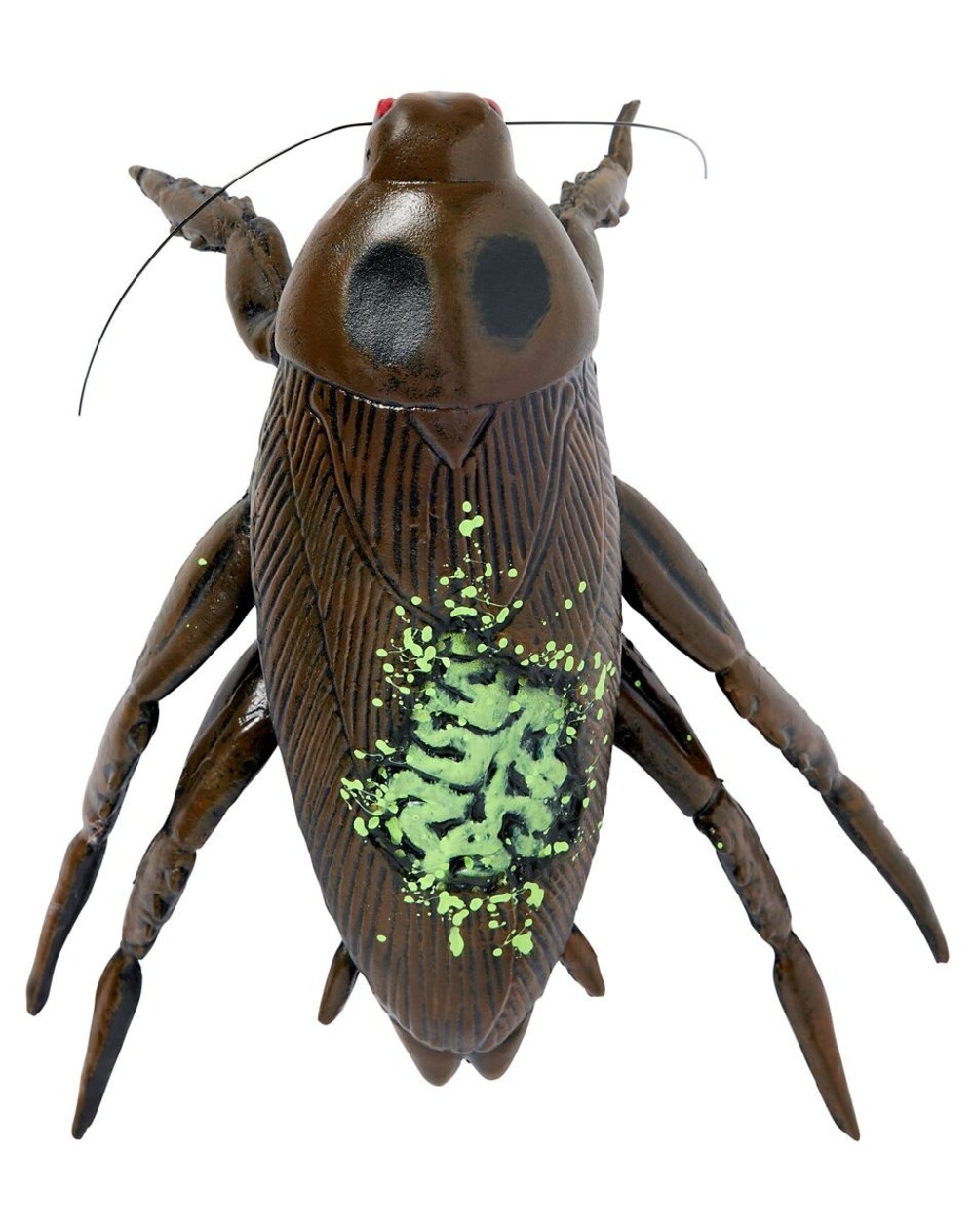 Zombie Cockroach Static Prop - Picture 2 of 4
